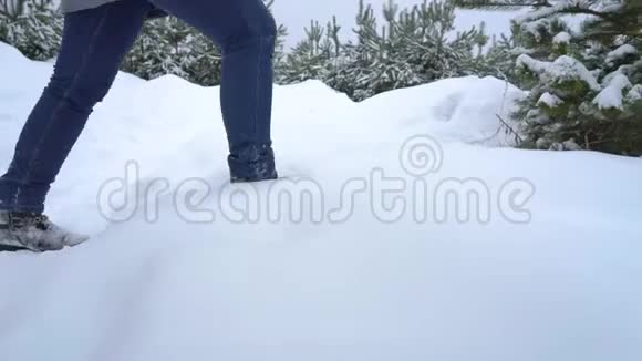 冬天在松林的高雪中踩着女人的腿视频的预览图