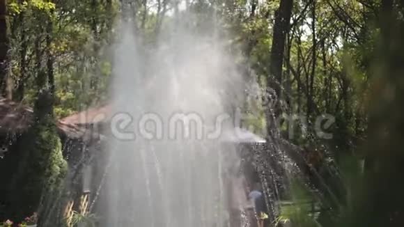 绿树背景下喷泉中的水滴慢动作视频的预览图