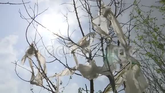 树上的太阳和塑料袋视频的预览图