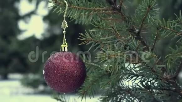 白雪皑皑的杉树上挂着圣诞彩铃视频的预览图