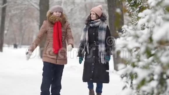 两个女孩在冬天散步互相交谈视频的预览图