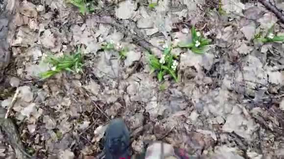 特写镜头从上方看在春天的森林里在雪花中穿着靴子走路的雄腿雪花是罕见的花视频的预览图