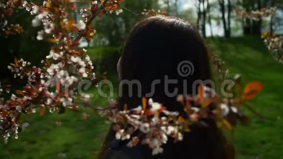 盛开的樱花中轻松自在的亚洲女孩视频的预览图