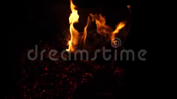 火花从明亮的篝火中飞出柴火被明亮的火焰点燃特写视频的预览图
