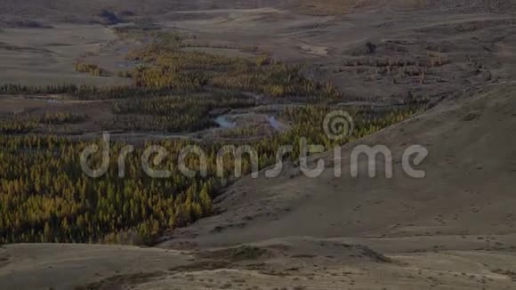 阿尔泰河谷景观与河流和树木西伯利亚的山脉视频的预览图