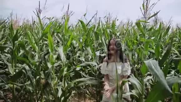 一个女人站在玉米里对镜头说些什么视频的预览图