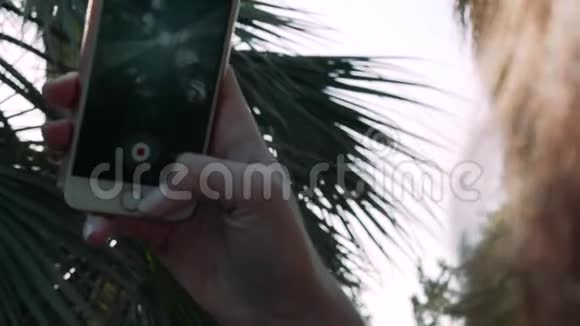 使用电话的女孩用手掌树的树枝射出阳光阳光视频的预览图