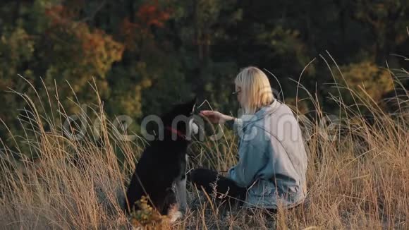女人和狗在大自然中玩耍与宠物一起享受夏日时光视频的预览图