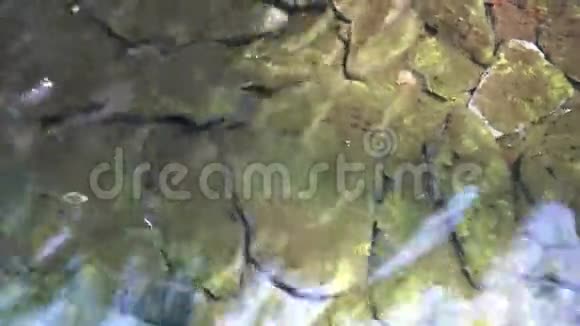 日出时湖水中的绿色苔藓和石视频的预览图