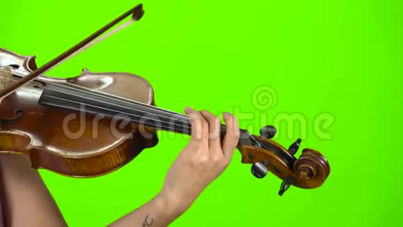 音乐家的手指夹住小提琴上的弦绿色屏幕关门视频的预览图