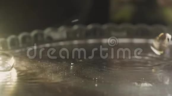金色的结婚戒指落在一个装有香槟的托盘上视频的预览图