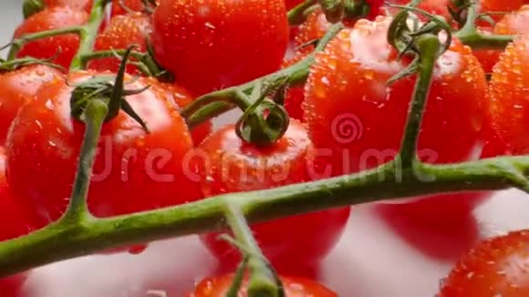 小红樱桃西红柿在灰色桌子宽宏大量拍摄视频的预览图