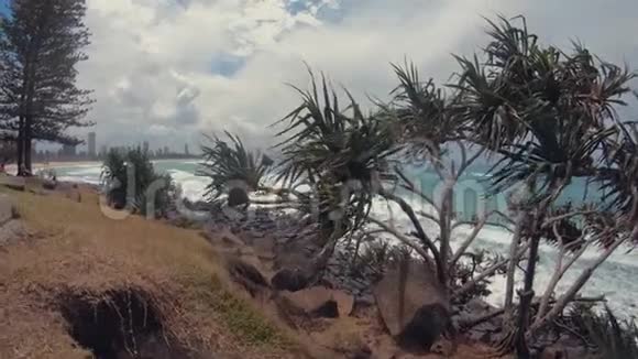 伯利山潘丹努斯树木和海岬海景黄金海岸海景和海滩视频的预览图