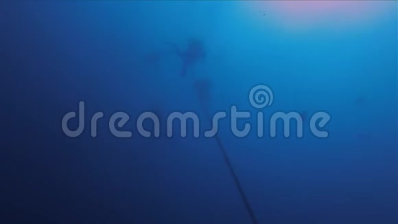 潜水者潜水员剪影水肺集团平静的蓝色阳光海面视频的预览图