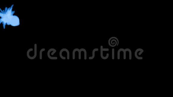 黑色背景上的蓝色荧光墨水三维渲染与卢马哑光13视频的预览图