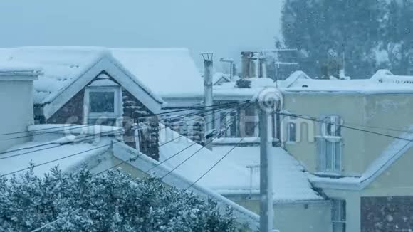 暴风雪中的房屋和树木视频的预览图