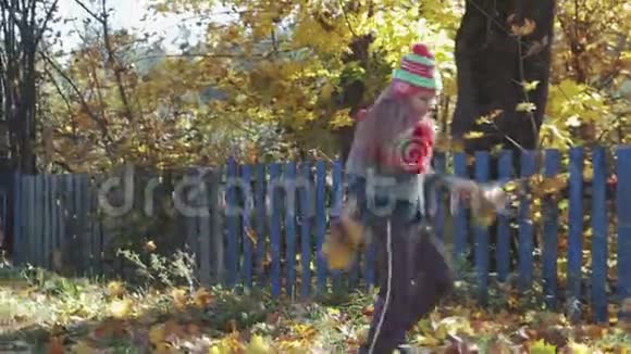 有趣的孩子们玩得很开心在秋天的公园里玩枫叶视频的预览图