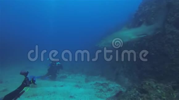 水下摄影师潜水员和摄像师鲨鱼水下摄影视频的预览图