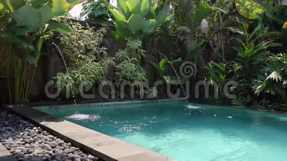 室外游泳池阳光明媚的热带植物背景下有喷泉雕像视频的预览图