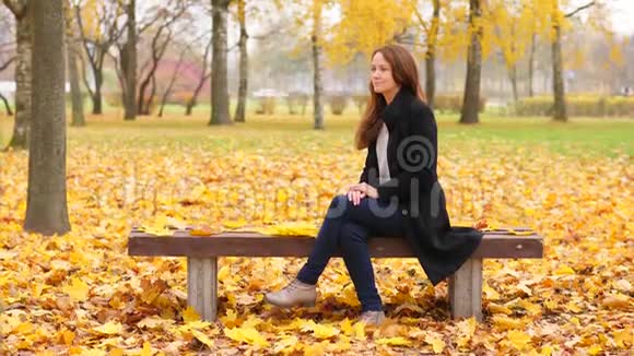 女人欣赏美丽的秋天自然看着黄色的枫叶视频的预览图