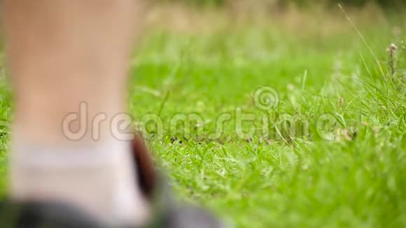 男腿穿着运动鞋跑过草地特写视频的预览图