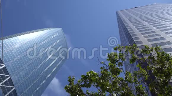 洛杉矶市中心的摩天大楼对蓝天的看法相机从底部向上看绿色的树视频的预览图