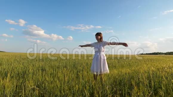 美丽的女孩穿着白色连衣裙在蓝天背景下的麦田里跳舞视频的预览图