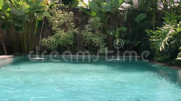 室外游泳池阳光明媚的热带植物背景下有喷泉雕像视频的预览图