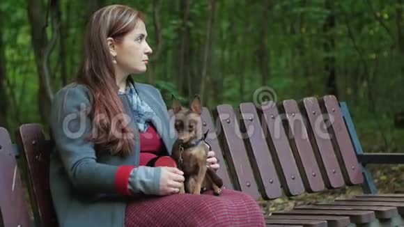 沉思的女人坐在树林里的长凳上腿上抱着一只小狗视频的预览图