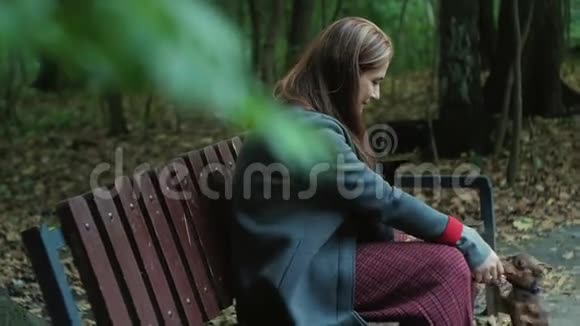 坐在树林里长凳上的女人抚摸着两只小狗视频的预览图