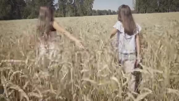 两个年轻的女朋友在麦田里散步视频的预览图