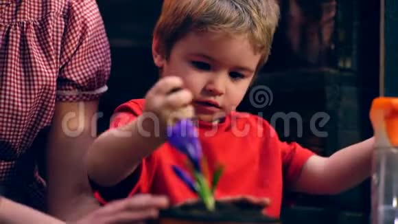那男孩用手把泥土倒在花盆里种上了花种花的概念视频的预览图