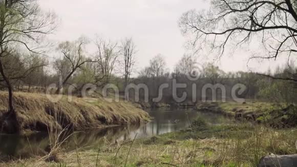 春天的森林河躺在草地上的垃圾视频的预览图