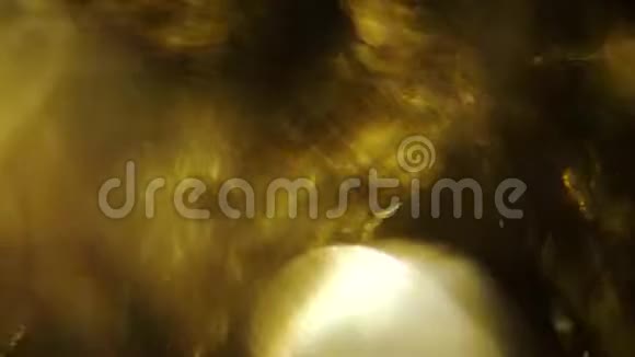 自然创造出温暖色调的光线泄漏吹着金色的光粒视频的预览图