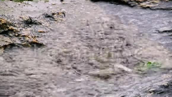 雨落在石面上视频的预览图