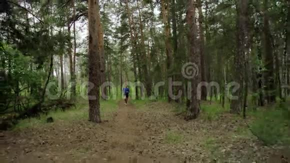 人在森林里奔跑视频的预览图