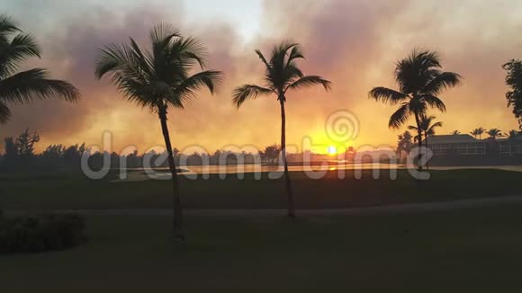 异国海岛的高尔夫球场湖带棕榈树的热带日落剪影视频视频的预览图