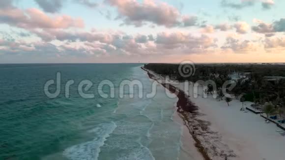 墨西哥图卢姆海滩附近海浪的低飞镜头视频的预览图
