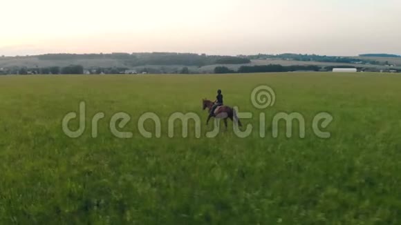 一个骑着种马的雌性马术运动员的全景视频的预览图