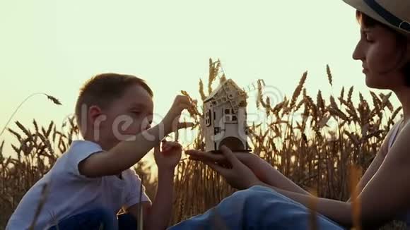 孩子和妈妈坐在田里熟透的麦穗中间玩一个小木风车这就是视频的预览图