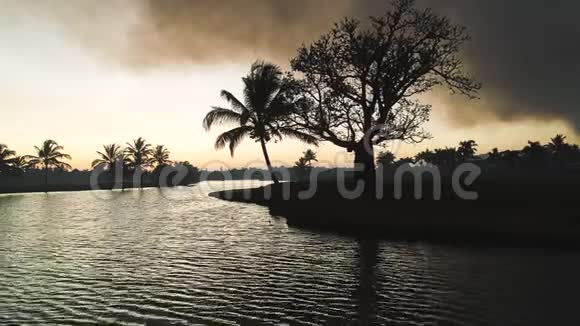 异国海岛的高尔夫球场湖带棕榈树的热带日落剪影视频视频的预览图