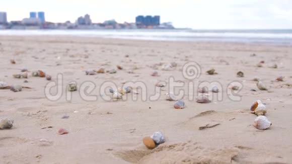 沙滩上有拉潘贝壳和海螺贝壳海和城镇背景视频的预览图