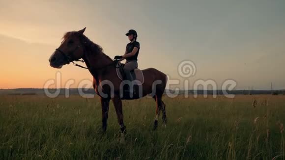 骑马女正在从马背上下来在露天抚摸它视频的预览图