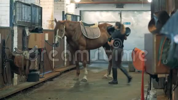 马鞍被一位骑师女士骑上了马视频的预览图