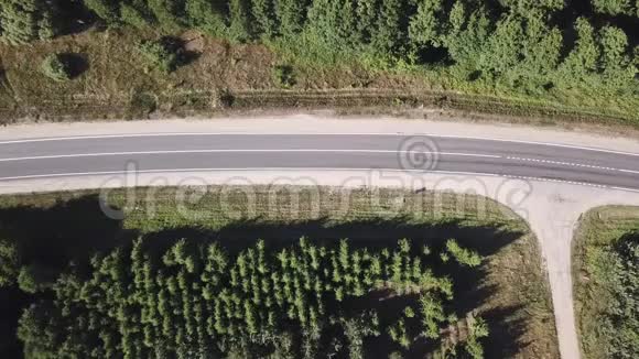 汽车在穿过森林的道路上行驶视频的预览图