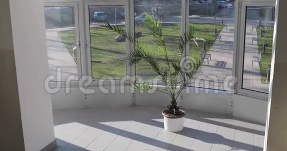 候车厅大堂玻璃露台带植物视频的预览图