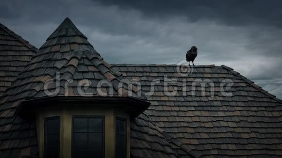 老房子屋顶上的乌鸦视频的预览图