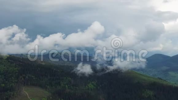 飞越一片令人惊叹的雨林日出时带雾在雨林上空鸟瞰4K空中录像雨林视频的预览图