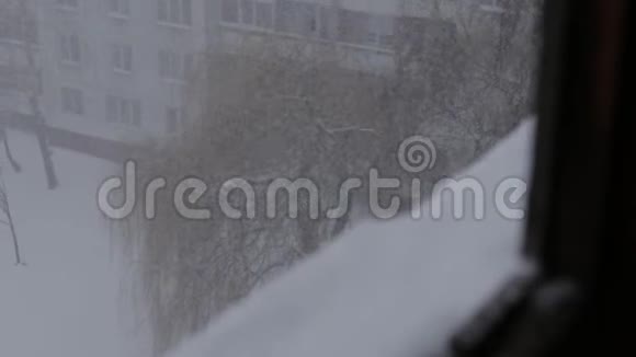 窗外可看到2019年3月带雾的暴风雪拉托维亚里加刮风日视频的预览图