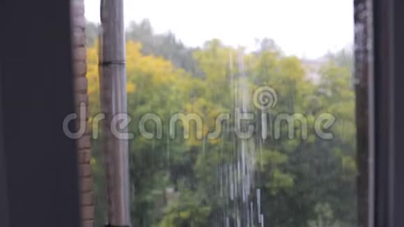 雨窗外的景色重点之外视频的预览图